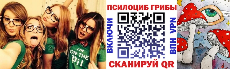 закладки  Лысково  Галлюциногенные грибы Magic Shrooms 